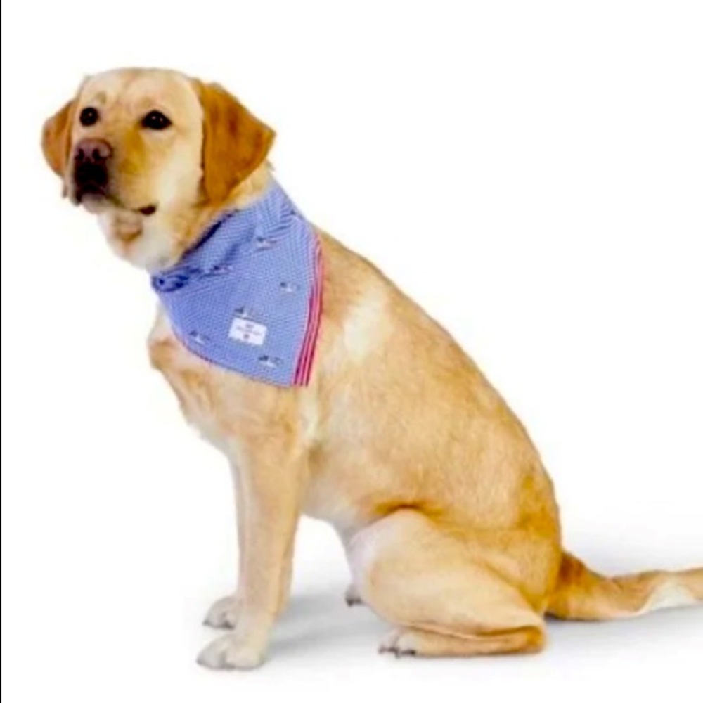 Vineyard Vines Dog Bandana
